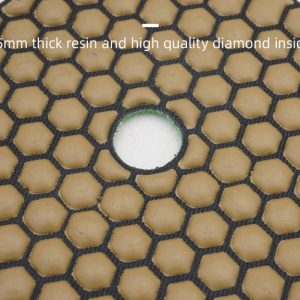 Bee 03