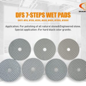 Dfs 01