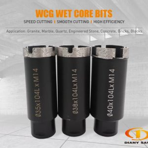 Wcg 01