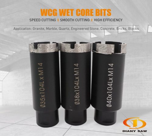 Wcg 01